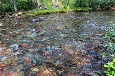 IMG_8928.jpg IMG_8928.jpg