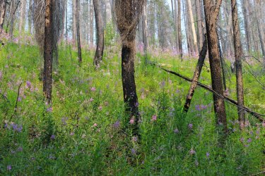 IMG_8931.jpg IMG_8931.jpg