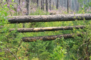 IMG_8934.jpg IMG_8934.jpg