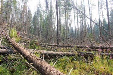 IMG_8936.jpg IMG_8936.jpg