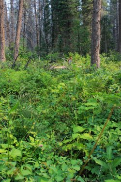 IMG_8938.jpg IMG_8938.jpg