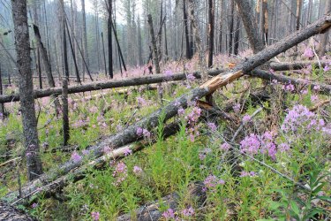 IMG_8941.jpg IMG_8941.jpg