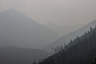 IMG_8967.jpg IMG_8967.jpg