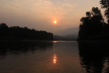 IMG_8991.jpg IMG_8991.jpg