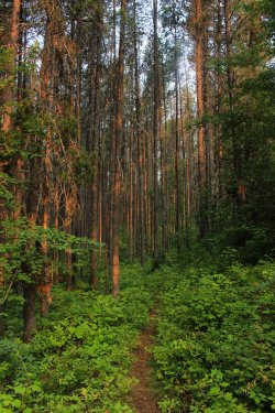 IMG_8993.jpg IMG_8993.jpg