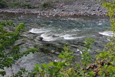 IMG_9009.jpg IMG_9009.jpg