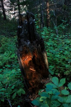 IMG_9026.jpg IMG_9026.jpg