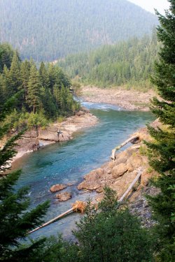 IMG_9031.jpg IMG_9031.jpg