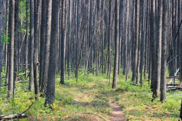 IMG_9065.jpg IMG_9065.jpg