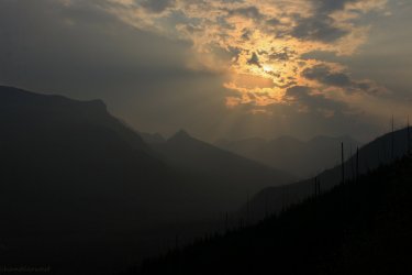 IMG_9077.jpg IMG_9077.jpg