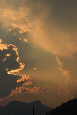 IMG_9086.jpg IMG_9086.jpg