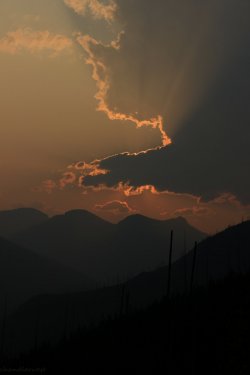 IMG_9089.jpg IMG_9089.jpg