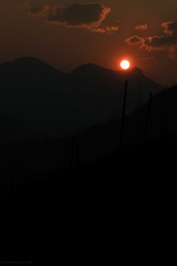 IMG_9093.jpg IMG_9093.jpg