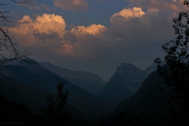 IMG_9098.jpg IMG_9098.jpg