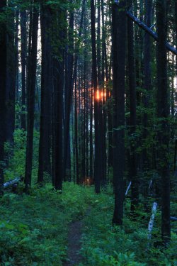 IMG_9104.jpg IMG_9104.jpg