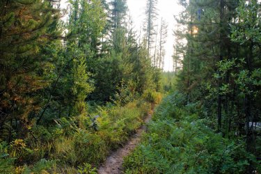 IMG_9116.jpg IMG_9116.jpg