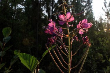 IMG_9122.jpg IMG_9122.jpg