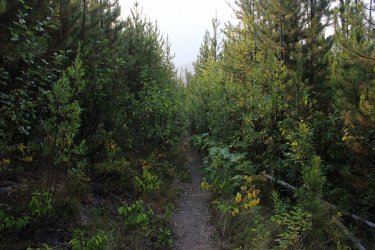 IMG_9129.jpg IMG_9129.jpg