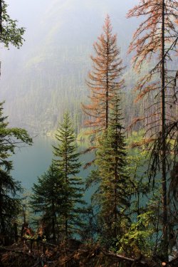 IMG_9139.jpg IMG_9139.jpg