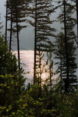 IMG_9141.jpg IMG_9141.jpg