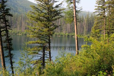 IMG_9145.jpg IMG_9145.jpg