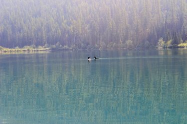 IMG_9194.jpg IMG_9194.jpg