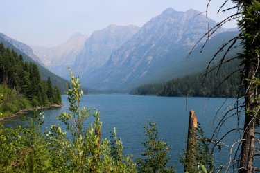 IMG_9225.jpg IMG_9225.jpg