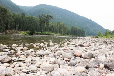 IMG_9265.jpg IMG_9265.jpg