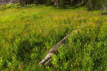 RCM09571-Cuberant Basin Uintas 7-2021-210729-70.jpg