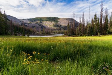 RCM09677-Cuberant Basin Uintas 7-2021-210730-37.jpg