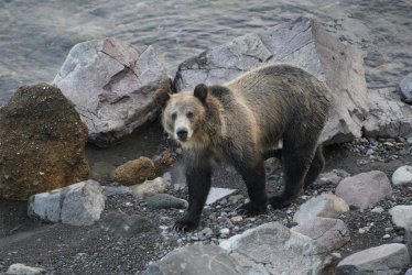 A7R022079511664336443934.jpg A7R022079511664336443934.jpg