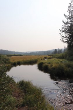 IMG_1165.jpg IMG_1165.jpg