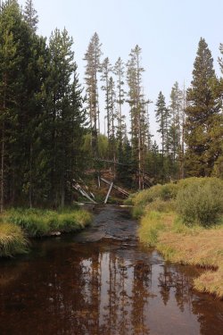 IMG_1166.jpg IMG_1166.jpg