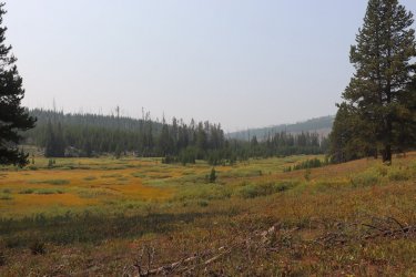 IMG_1172.jpg IMG_1172.jpg