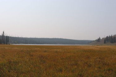 IMG_1174.jpg IMG_1174.jpg