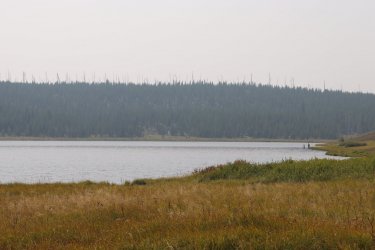 IMG_1177.jpg IMG_1177.jpg