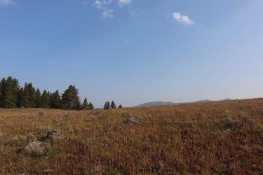 IMG_1182.jpg IMG_1182.jpg