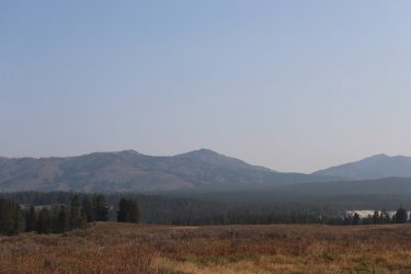 IMG_1183.jpg IMG_1183.jpg