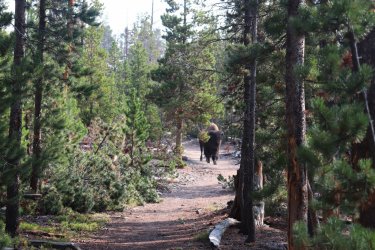 IMG_1189.jpg IMG_1189.jpg