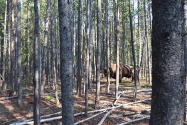 IMG_1191.jpg IMG_1191.jpg