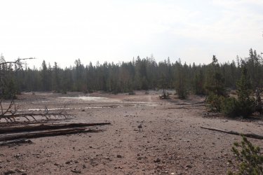 IMG_1194.jpg IMG_1194.jpg