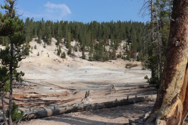 IMG_1198.jpg IMG_1198.jpg