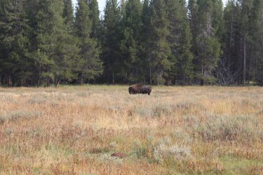 IMG_1206.jpg IMG_1206.jpg