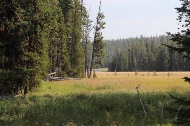 IMG_1217.jpg IMG_1217.jpg