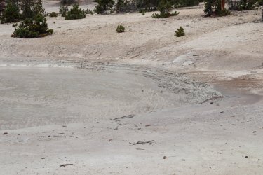 IMG_1229.jpg IMG_1229.jpg