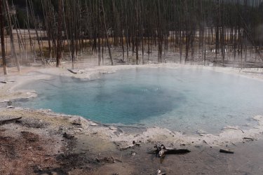 IMG_1265.jpg IMG_1265.jpg