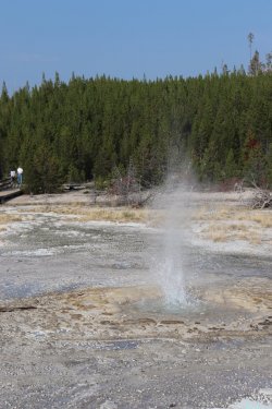 IMG_1277.jpg IMG_1277.jpg