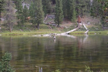 IMG_1333.jpg IMG_1333.jpg