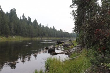 IMG_1373.jpg IMG_1373.jpg