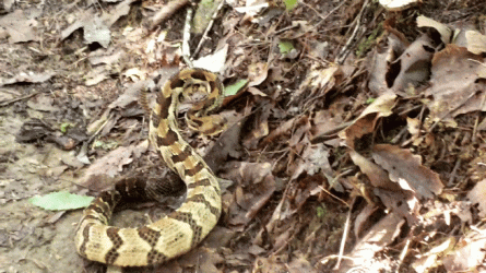 20210901_140508_1.gif 20210901_140508_1.gif